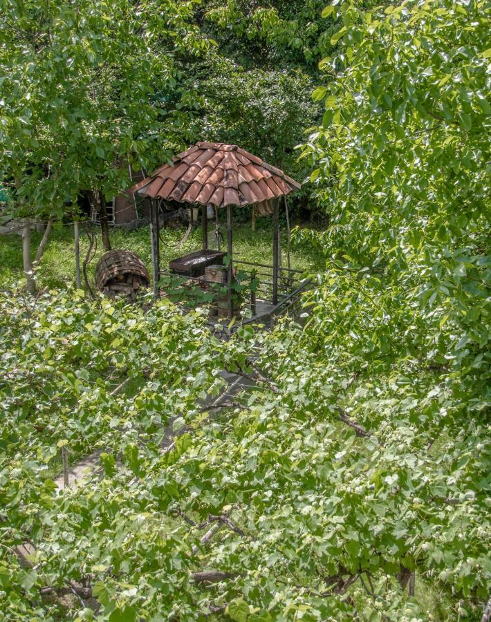 Qilimcha'S Guesthouse-Art Museum Telavi Buitenkant foto